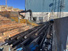 ARI high capacity line for big logs – bild 75
